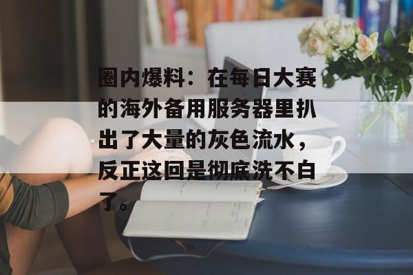 圈内爆料:在每日大赛的海外备用服务器里扒出了大量的灰色流水,反正这回是彻底洗不白了。